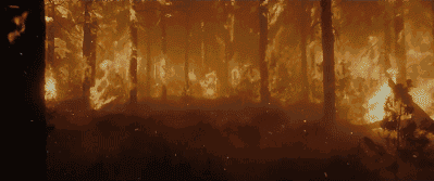 282377_1610875780528692.gif 防火4.gif