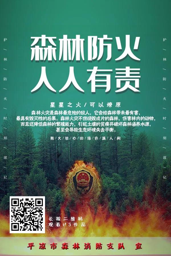 282377_1610876718551159.jpg 火12.jpg