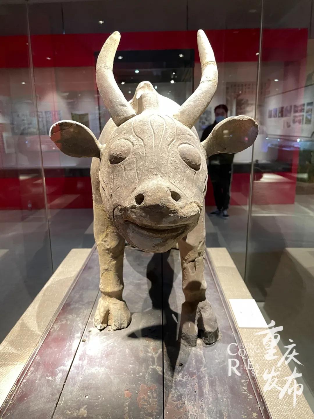 重庆6.jpg