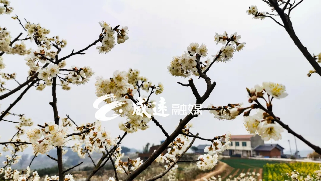 269955_1613269827109629.jpg 6.webp.jpg