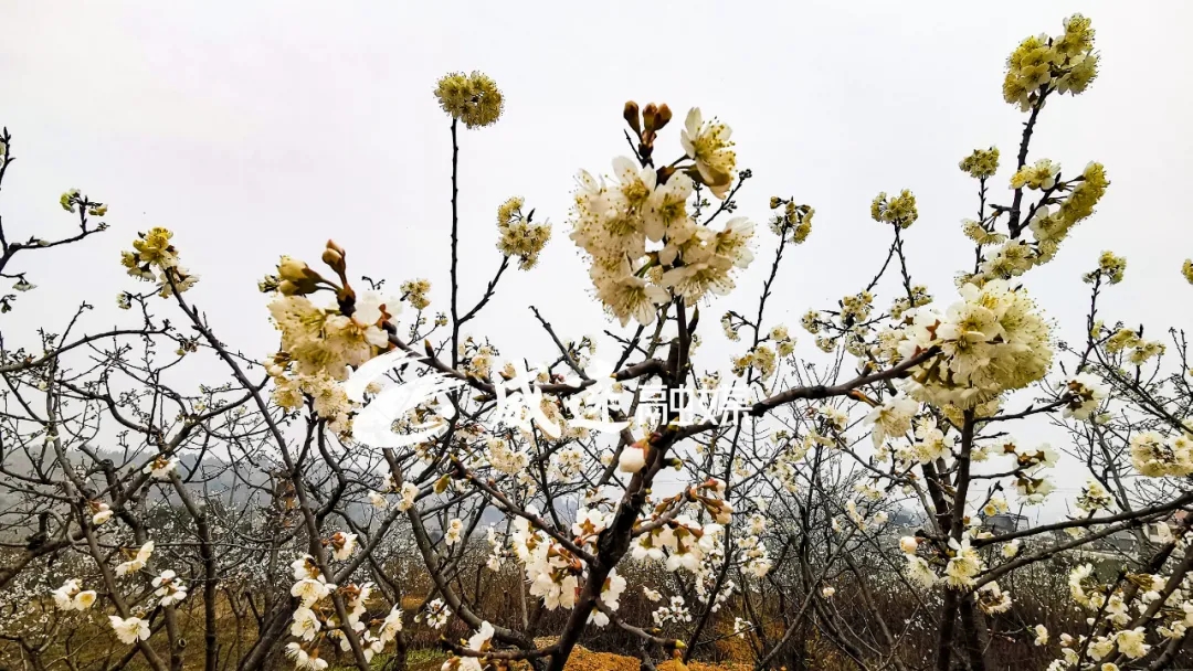 269955_1613269835145407.jpg 7.webp.jpg