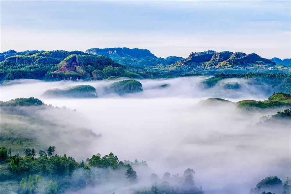 281606_1612845935860873.jpg 微信图片_20210209124115.jpg