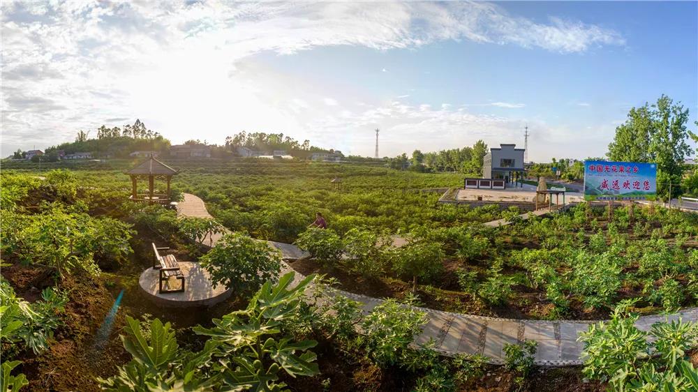 281606_1612845970887945.jpg 微信图片_20210209124137.jpg