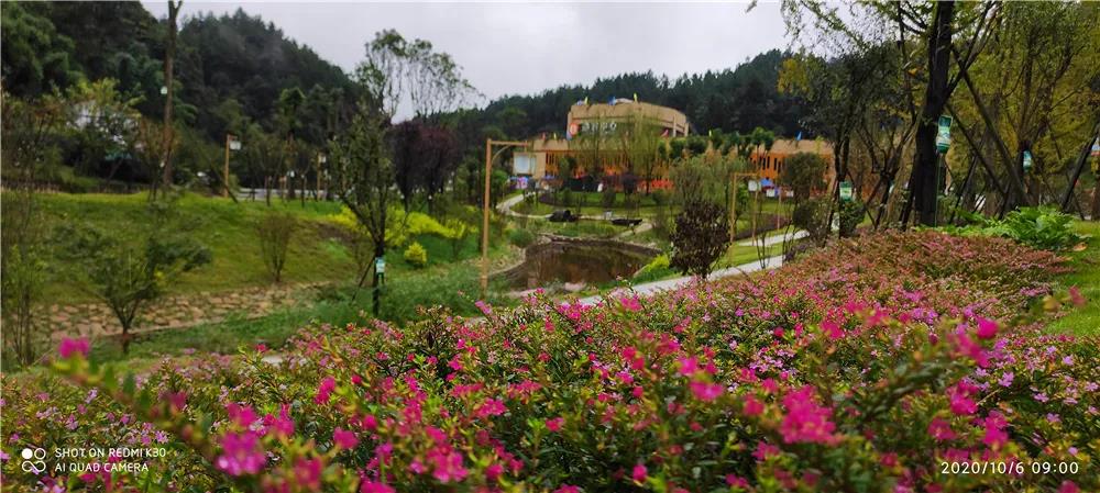 281606_1612846029170831.jpg 微信图片_20210209124149.jpg