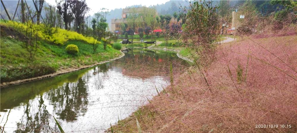 281606_1612846038280578.jpg 微信图片_20210209124213.jpg