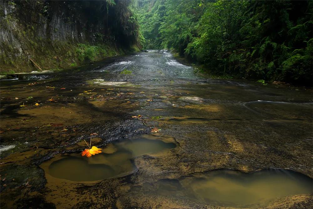 281606_1612846062892718.jpg 微信图片_20210209124224.jpg