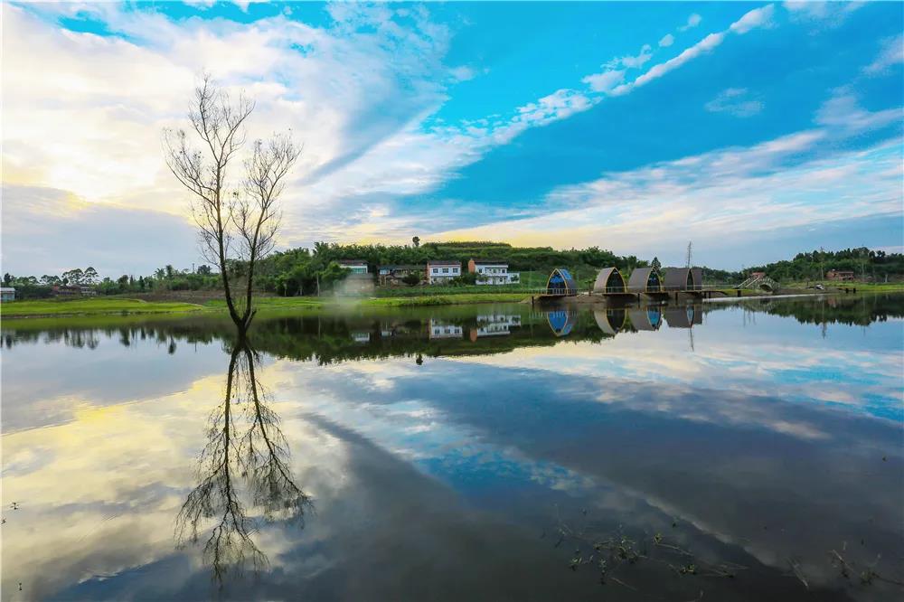 281606_1612846397844080.jpg 微信图片_20210209124247.jpg