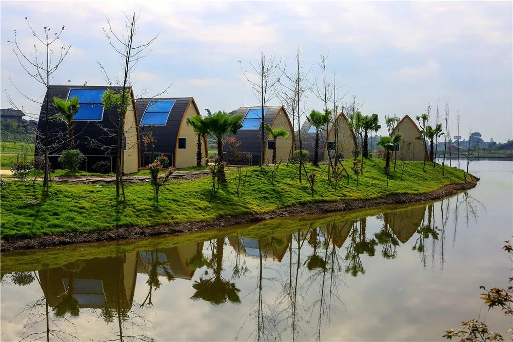 281606_1612846417794131.jpg 微信图片_20210209124251.jpg