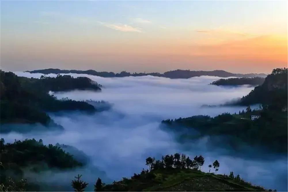 281606_1612846637177517.jpg 微信图片_20210209124329.jpg