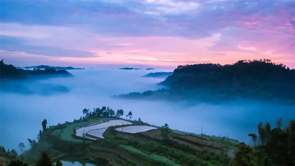 281606_1612846667283641.jpg 微信图片_20210209124439.jpg