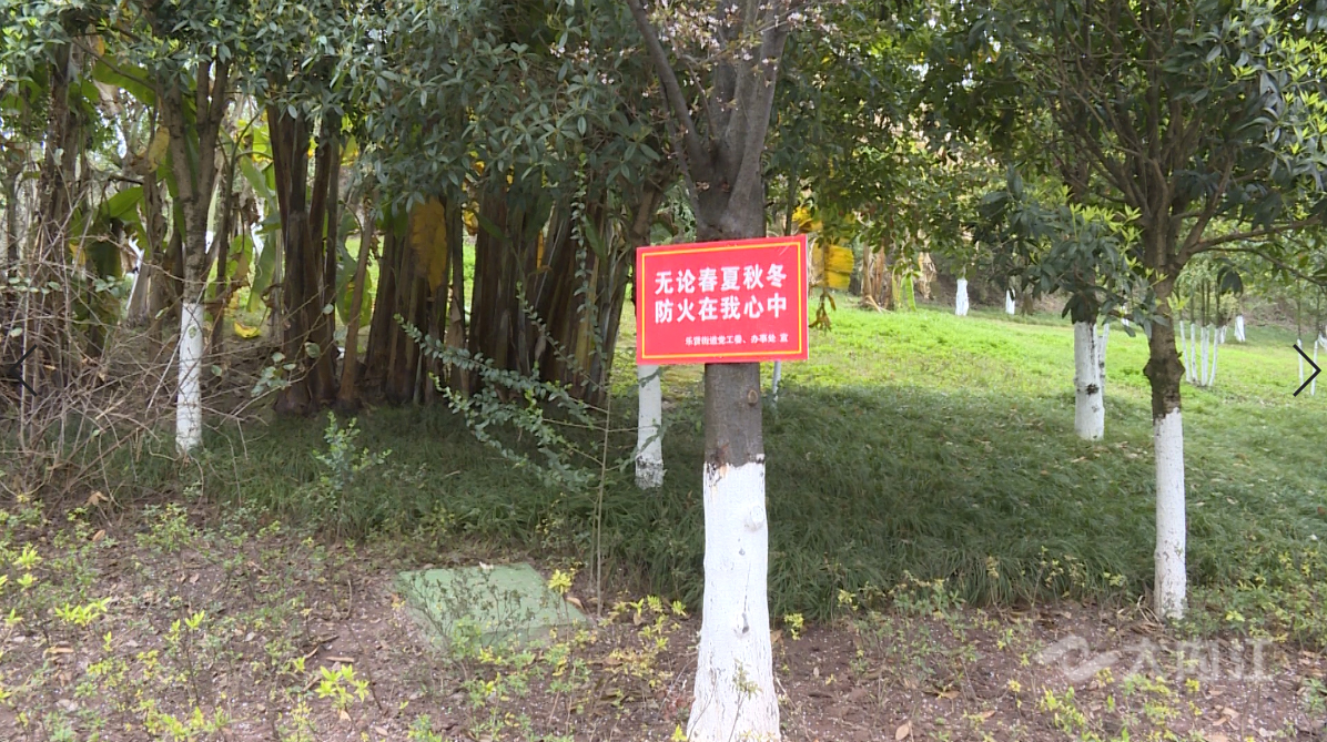 281877_1614259671992552.jpg QQ截图20210225211955.jpg