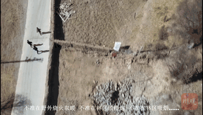 3.gif