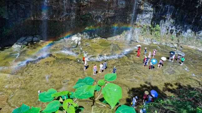 微信图片_20210204112405.png