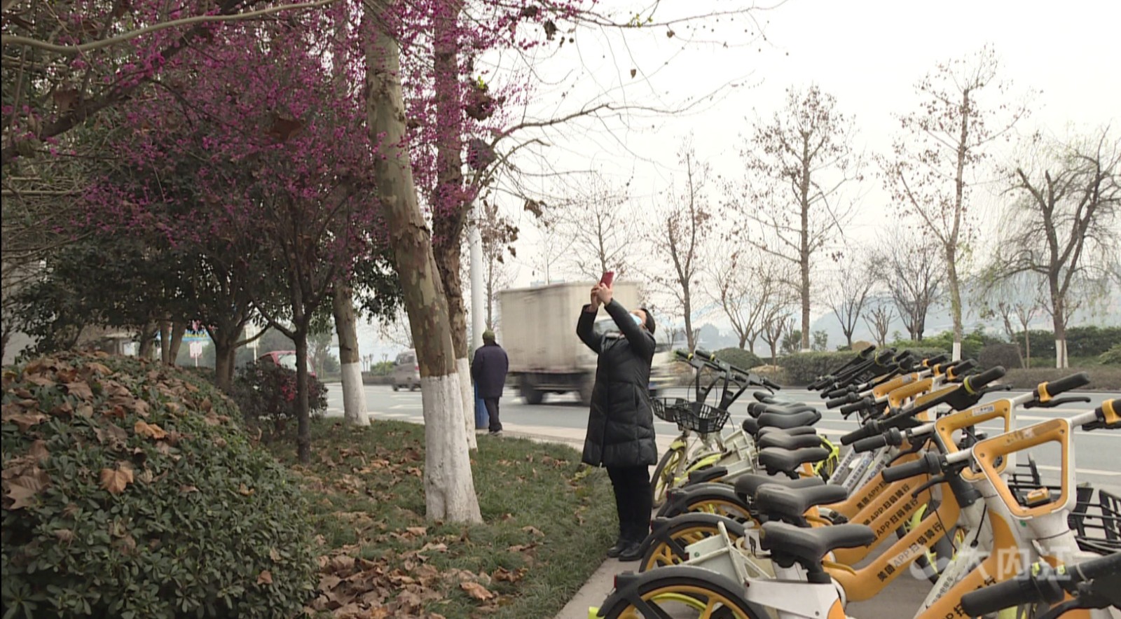 QQ图片20210204080221.jpg