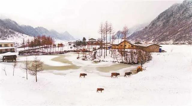 川渝5.jpg