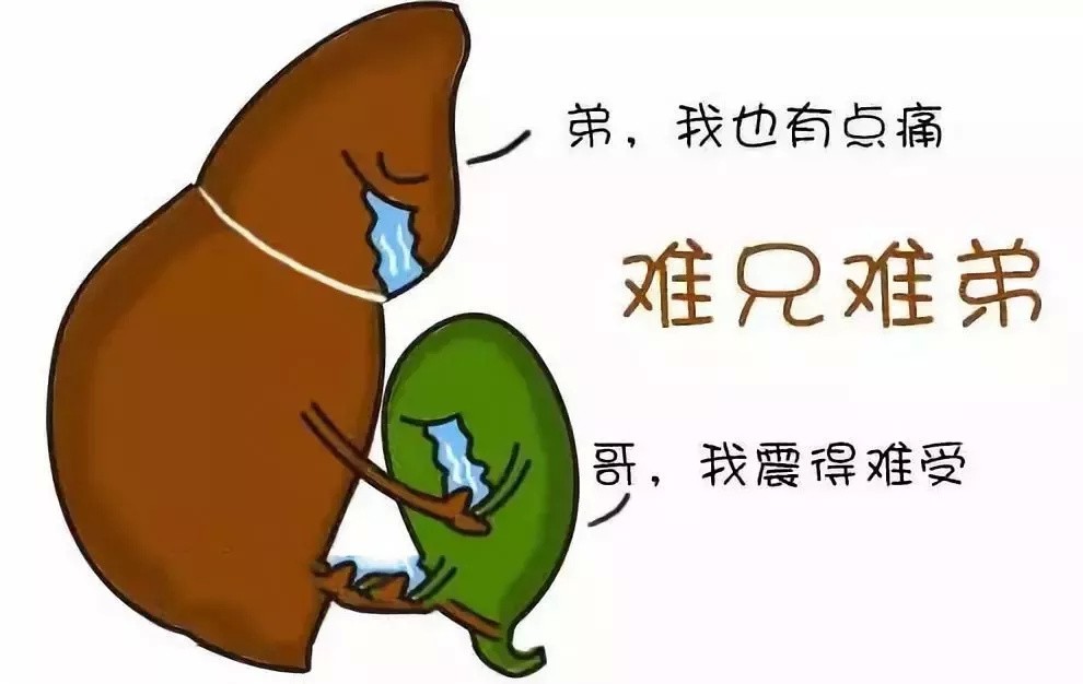 健康内江5.jpg