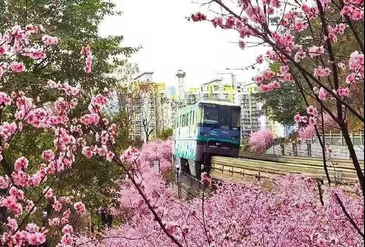 重庆2.jpg