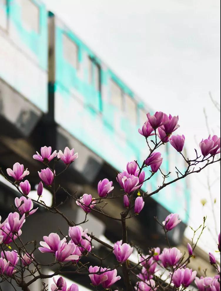 重庆29.jpg