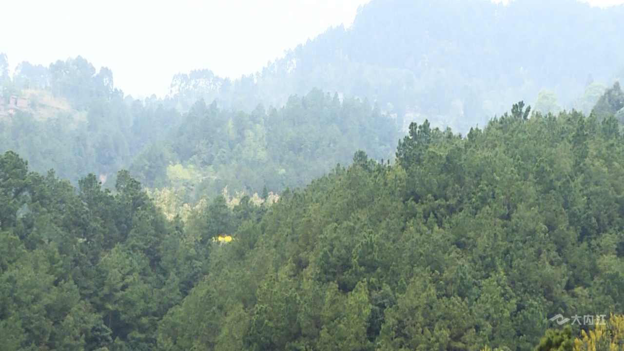 269955_1615189611959098.jpg 序列 01.00_05_01_16.静止007.jpg