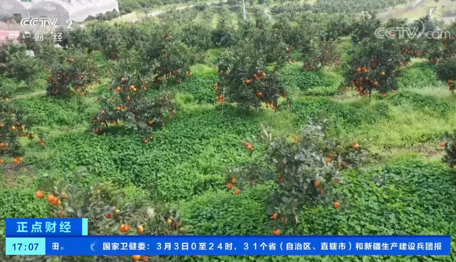 281877_1614870053361205.png 20.png