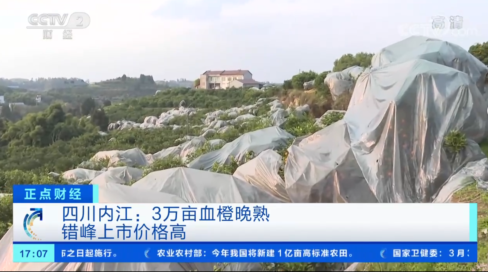 281877_1614870097971656.png 19.png