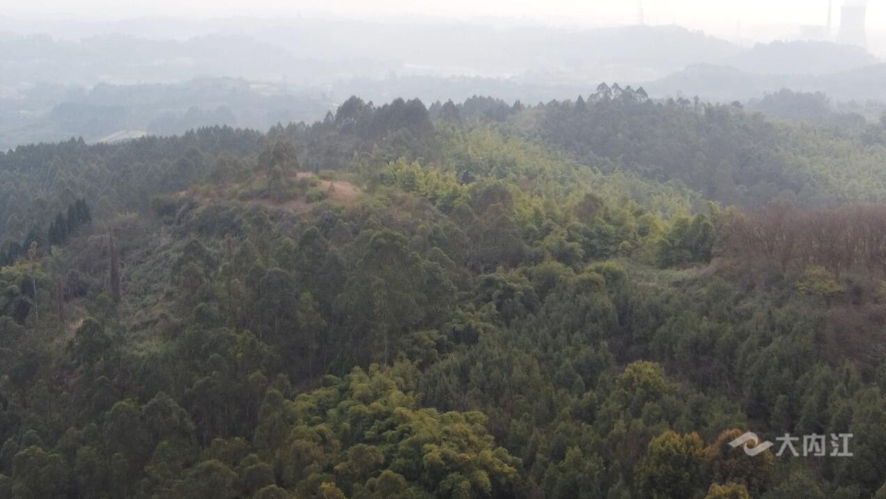 281877_1615430596110735.jpg QQ截图20210311104130.jpg