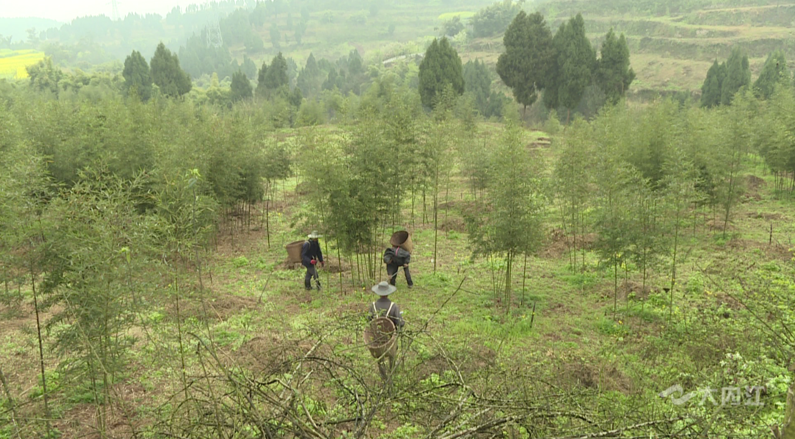 282377_1615446243358423.png QQ图片20210311085911.png