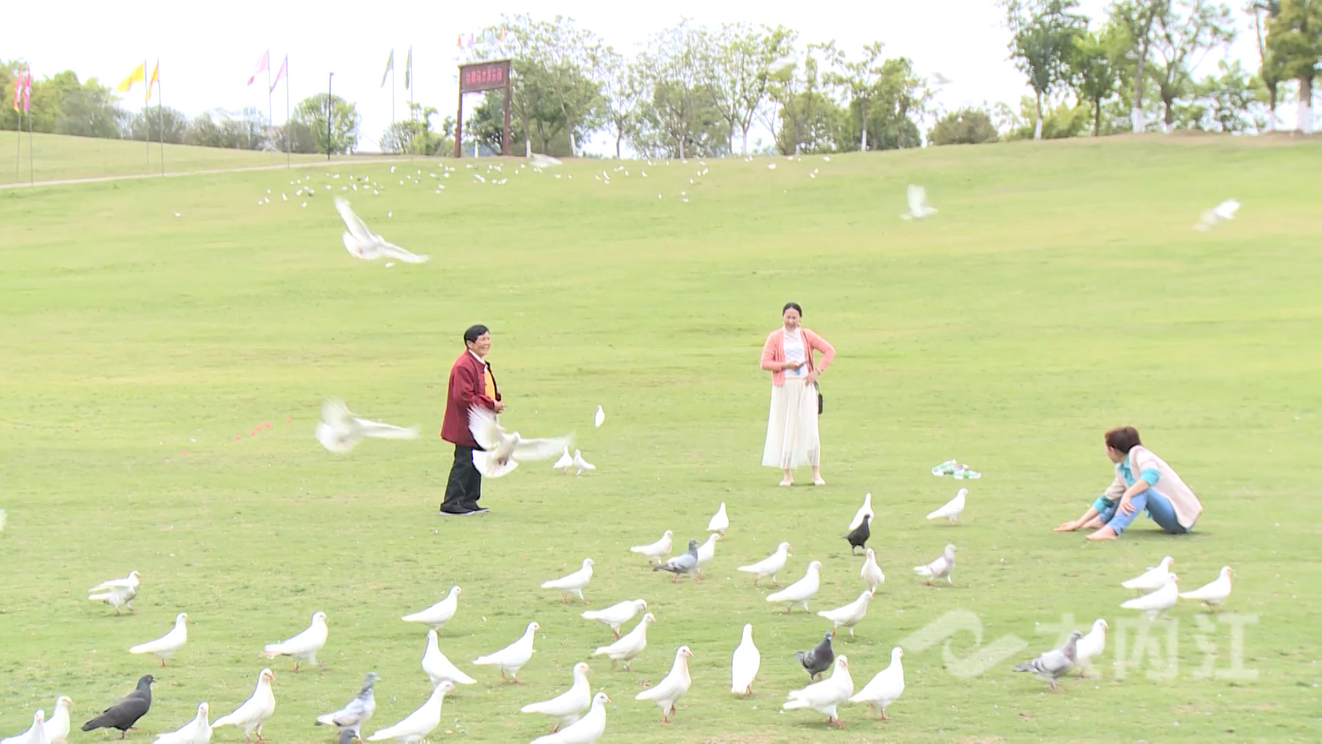 281876_1619689469266032.jpg 微信图片_20210429174300.jpg