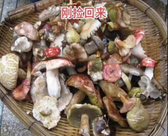 图片2.png