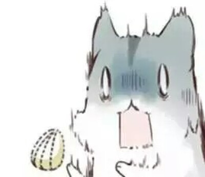 285482_1617959860213960.png