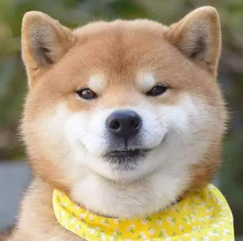 285482_1617959885682426.png