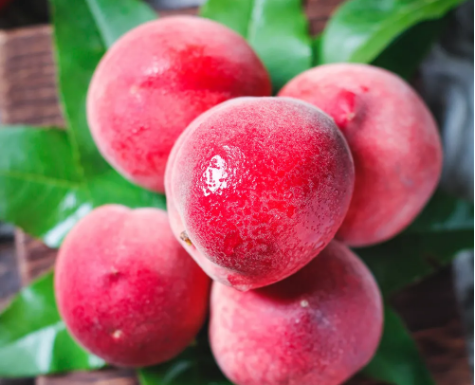 269955_1621048722617311.png 1620804566(1).png