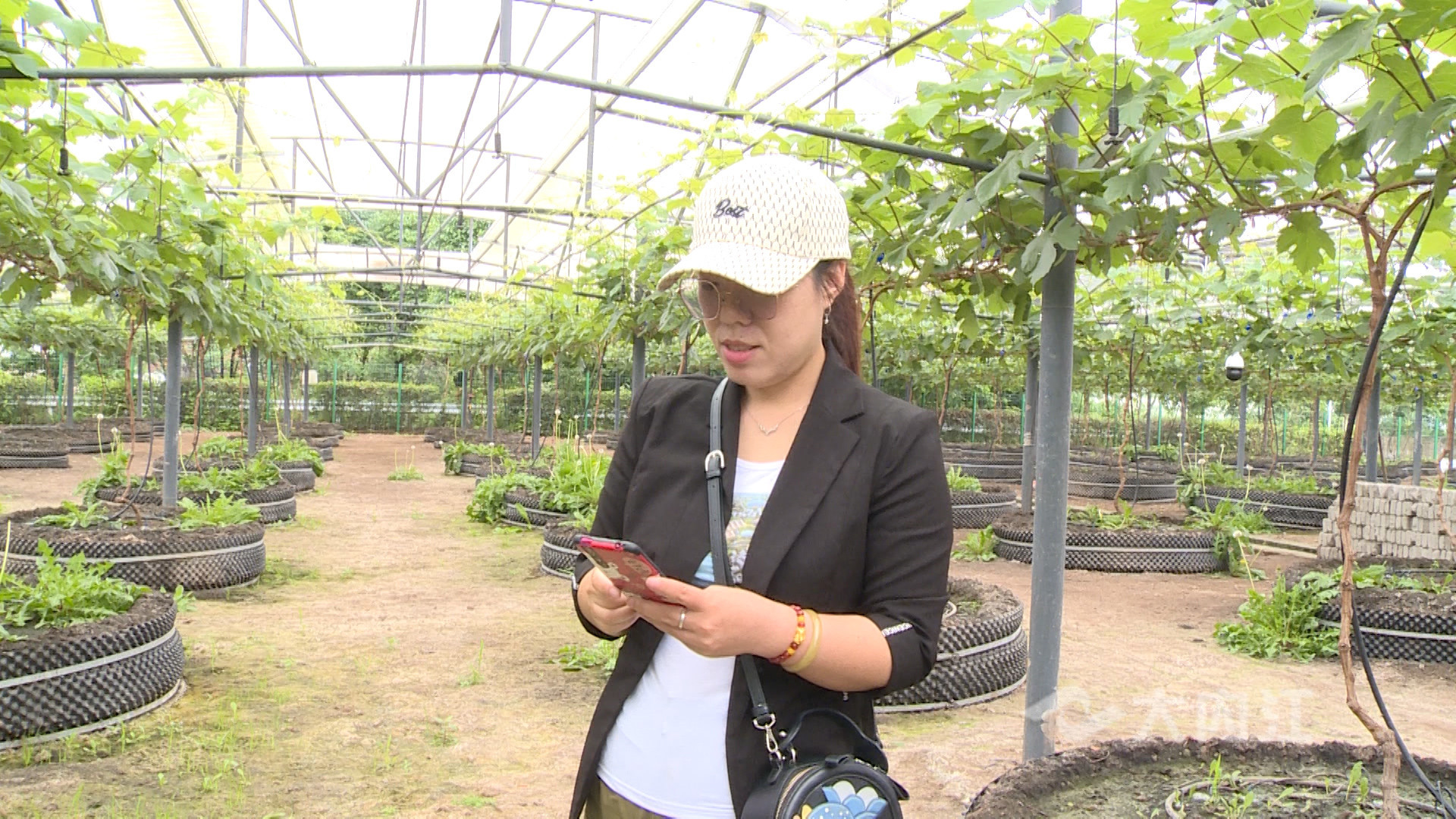 281876_1620976841998202.jpg 微信图片_20210514151702.jpg