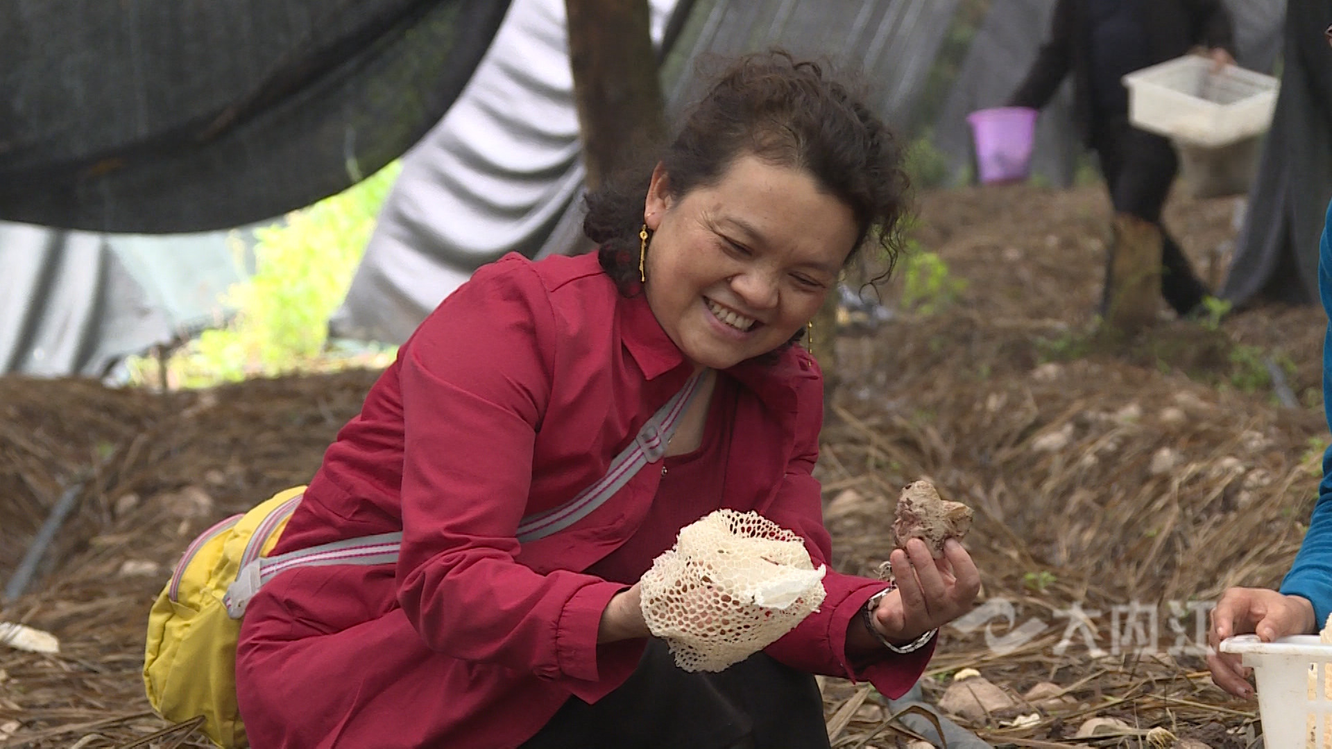 281876_1620982994300180.jpg 微信图片_20210514170157.jpg