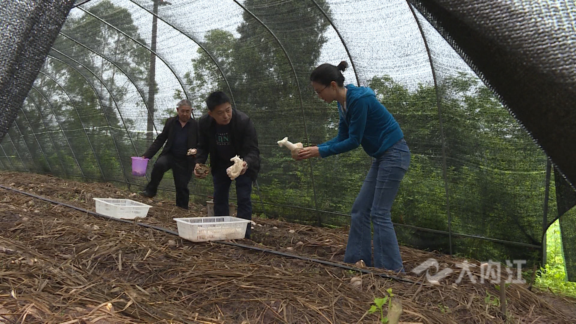 281876_1620983008388288.jpg 微信图片_20210514170153.jpg