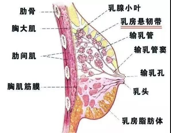 06.jpg