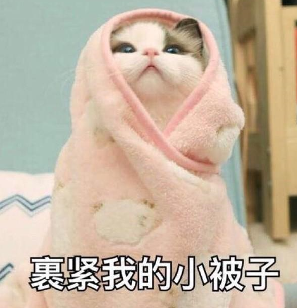 裹紧小杯子.png