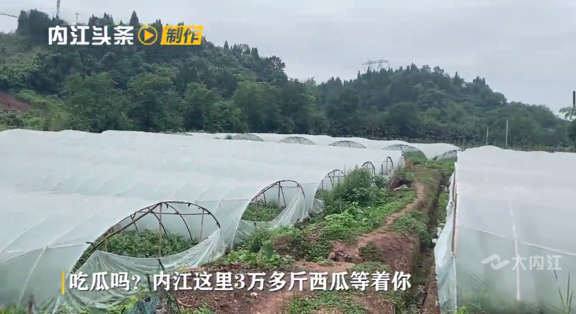 微信图片_20210602094255.png