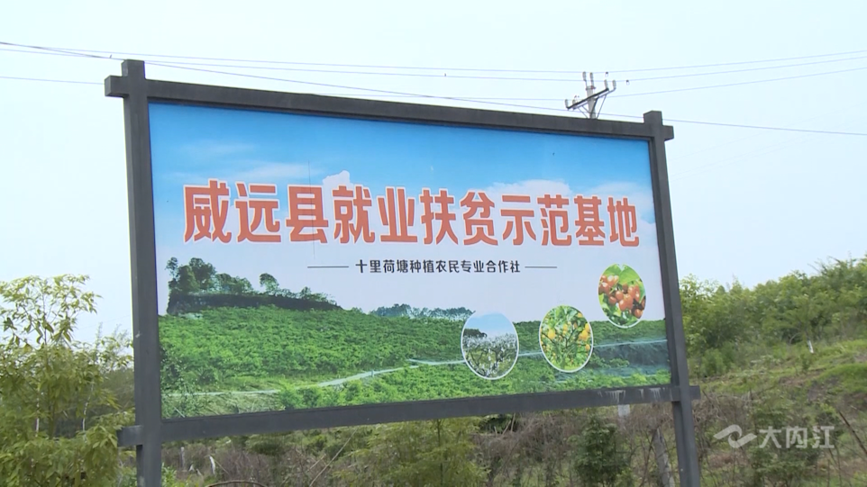 微信图片_20210628164251.png