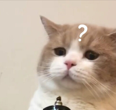 285482_1624863802588870.png