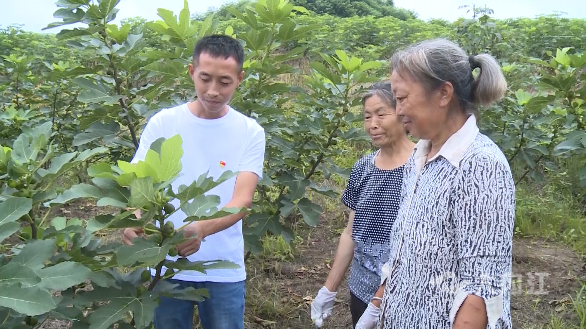 281876_1625641807853501.jpg 微信图片_20210707150855.jpg