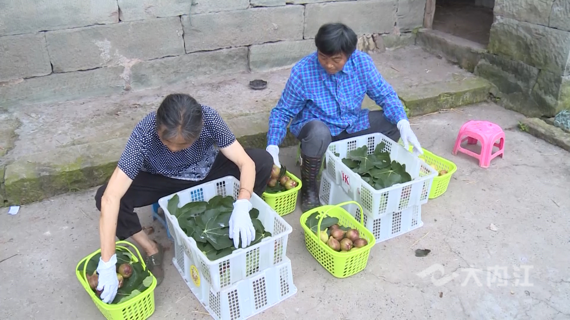 281876_1625641826384258.jpg 微信图片_20210707150900.jpg