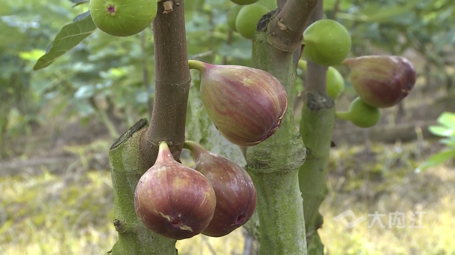 281876_1625641836706354.jpg 微信图片_20210707150851.jpg