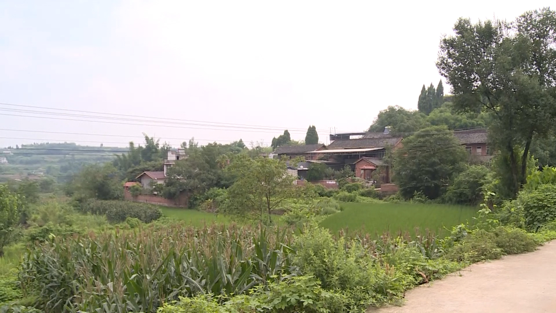 281876_1625727718550217.jpg 微信图片_20210708145939.jpg