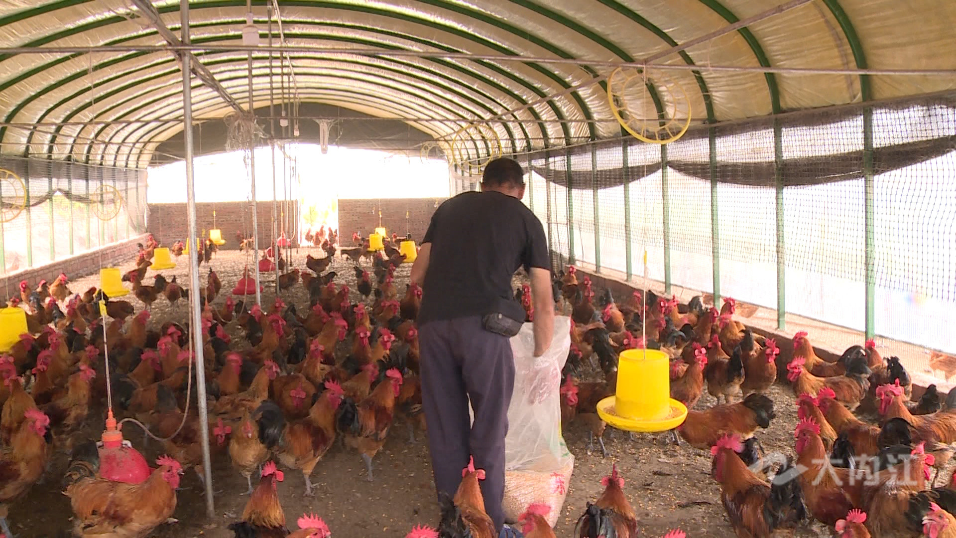 281876_1625814382681483.jpg 微信图片_20210709150530.jpg