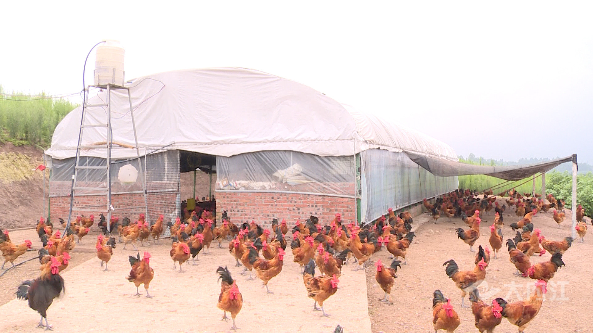 281876_1625814398282418.jpg 微信图片_20210709150526.jpg