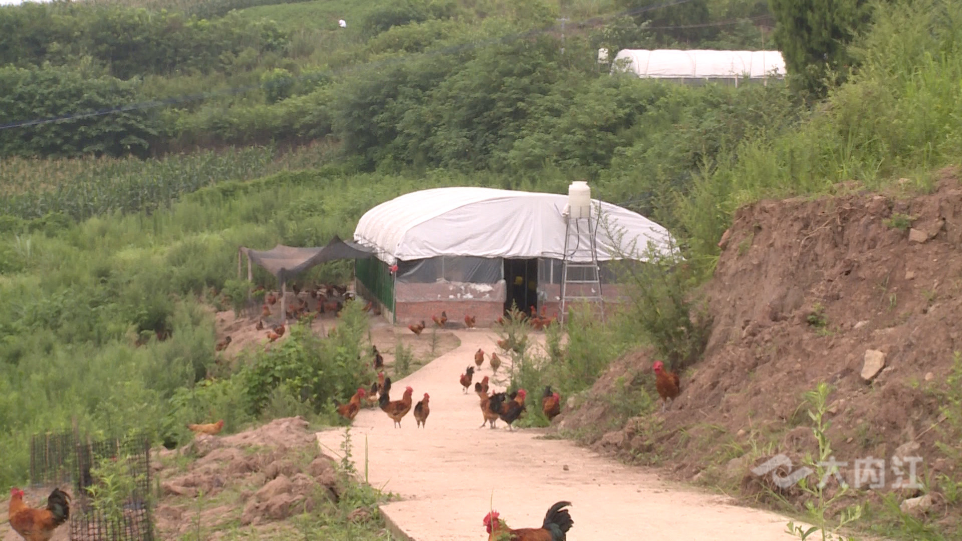 281876_1625814406925959.jpg 微信图片_20210709150534.jpg