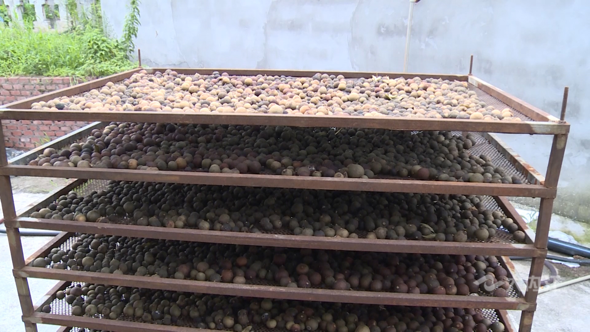 282035_1626341901859392.jpg 微信图片_20210715173718.jpg