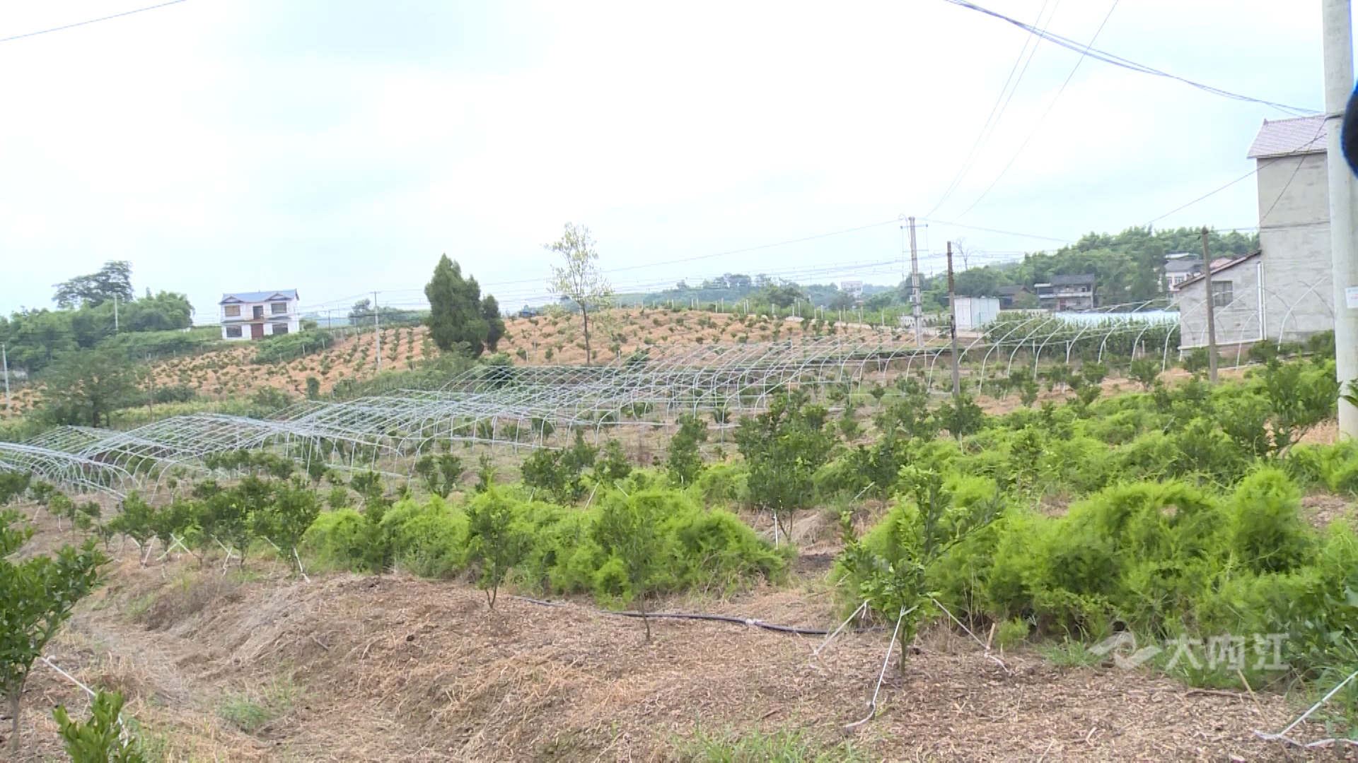 282035_1626341923361373.jpg 微信图片_20210715173712.jpg