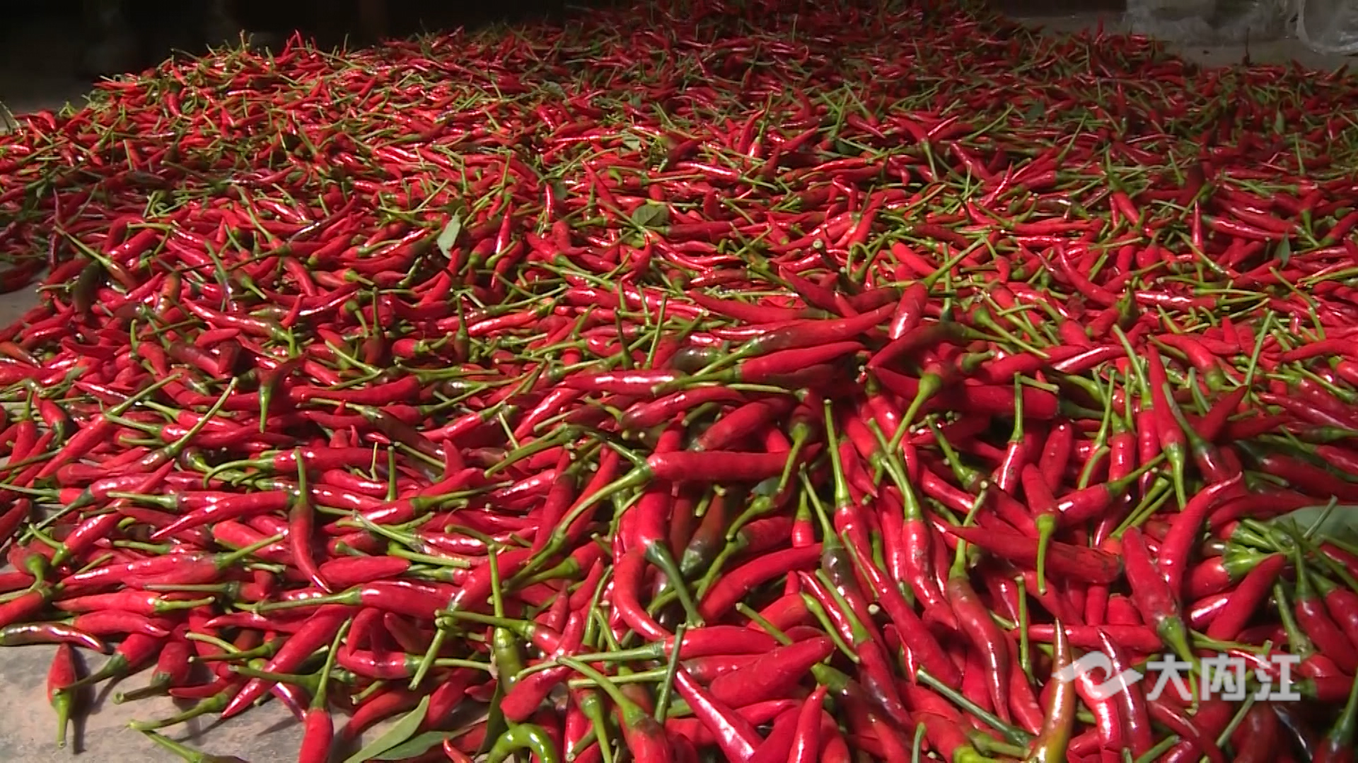 282035_1627094537349484.jpg 2.jpg